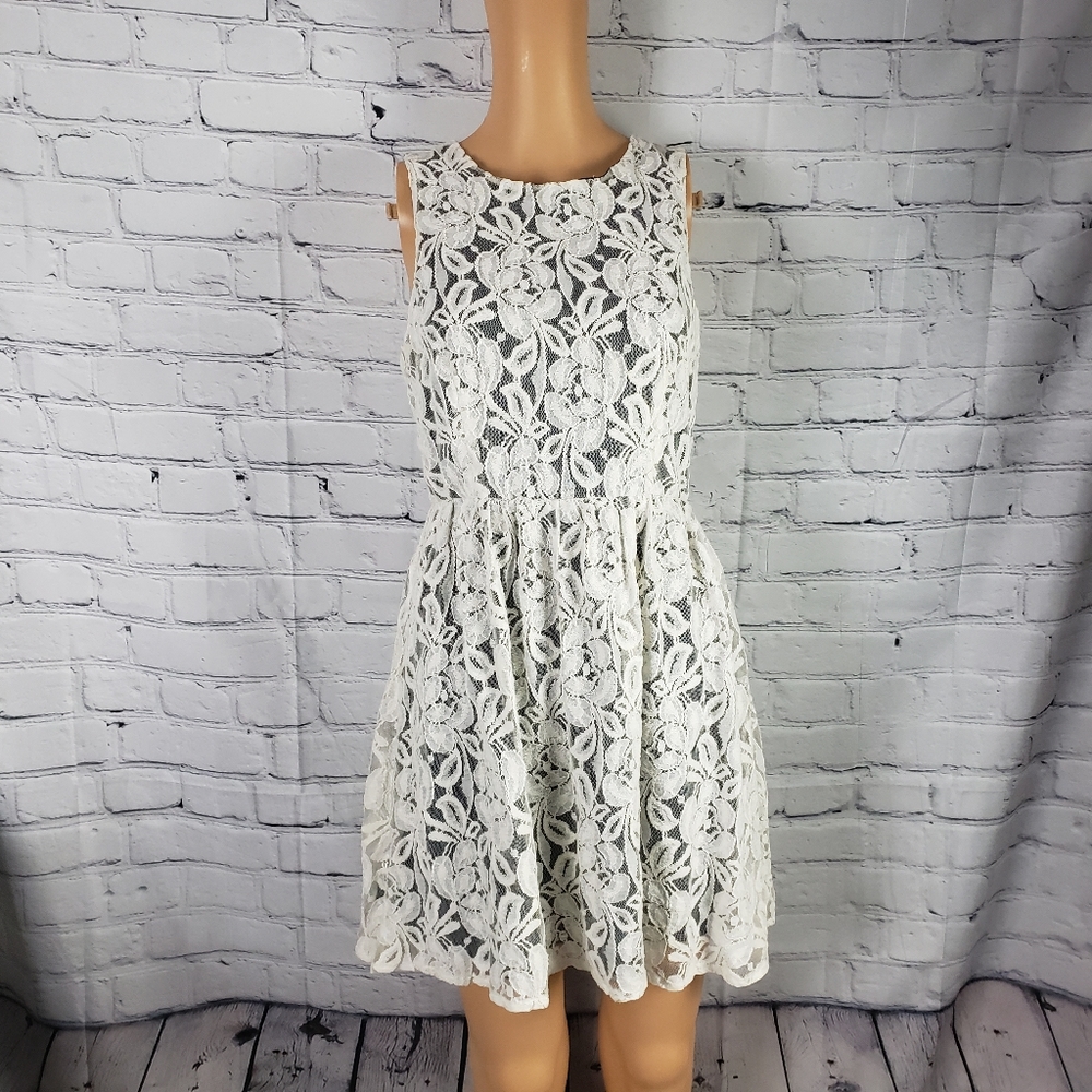 Petticoat Alley  lace skater dress size L